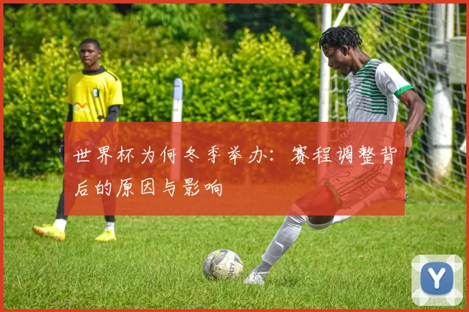 世界杯为何冬季举办：赛程调整背后的原因与影响
