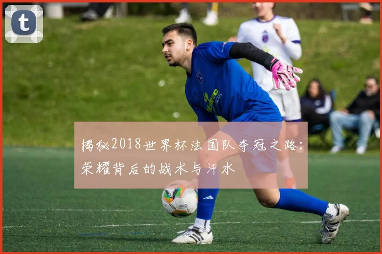 揭秘2018世界杯法国队夺冠之路：荣耀背后的战术与汗水