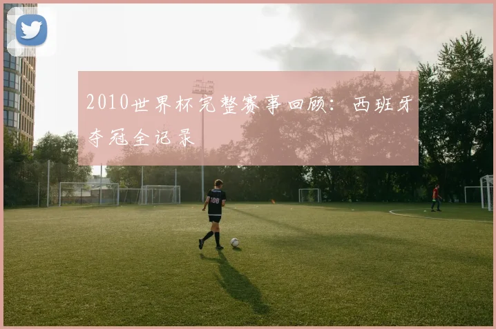 2010世界杯完整赛事回顾：西班牙夺冠全记录
