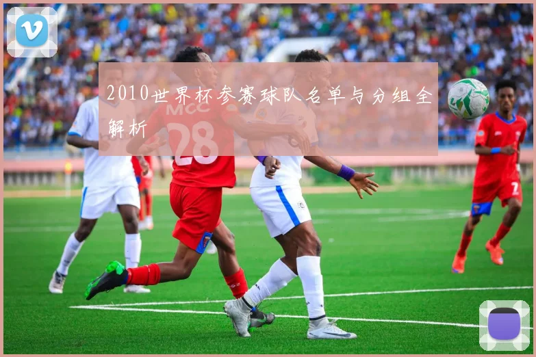 2010世界杯参赛球队名单与分组全解析